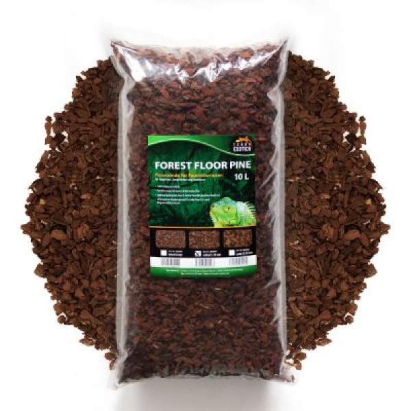 Preview: FOREST FLOOR PINE Pinienrinde für Feuchtterrarien 100 % Naturprodukt